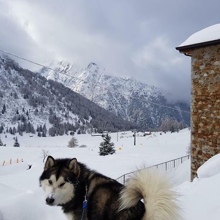 Apartamento Sci Ai Piedi,Passeggiate,Mountain Bike,Relax Passo del Tonale Exterior foto
