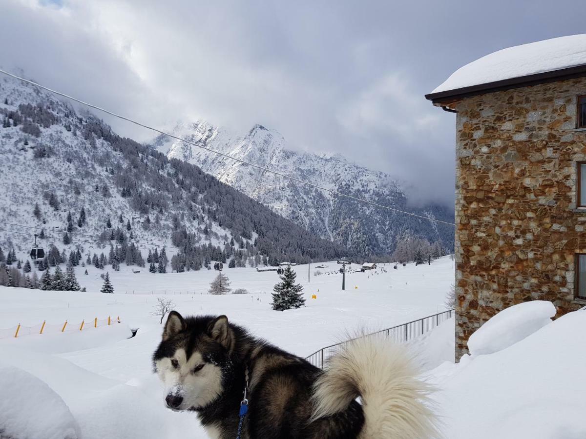 Apartamento Sci Ai Piedi,Passeggiate,Mountain Bike,Relax Passo del Tonale Exterior foto